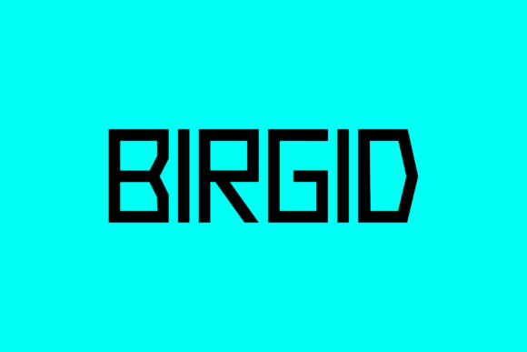 Birgid: The Perfect Display Font for Eye-Catching Visuals