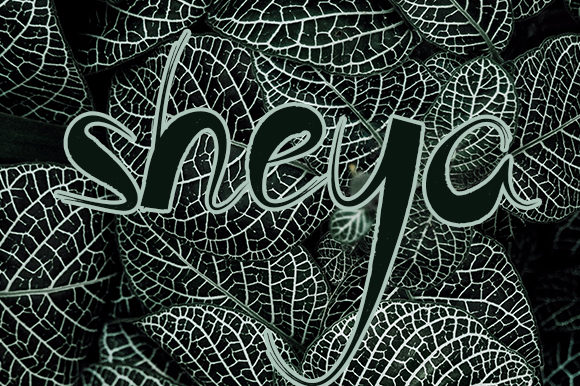 Sheya: A Fun and Friendly Font for Creative Branding